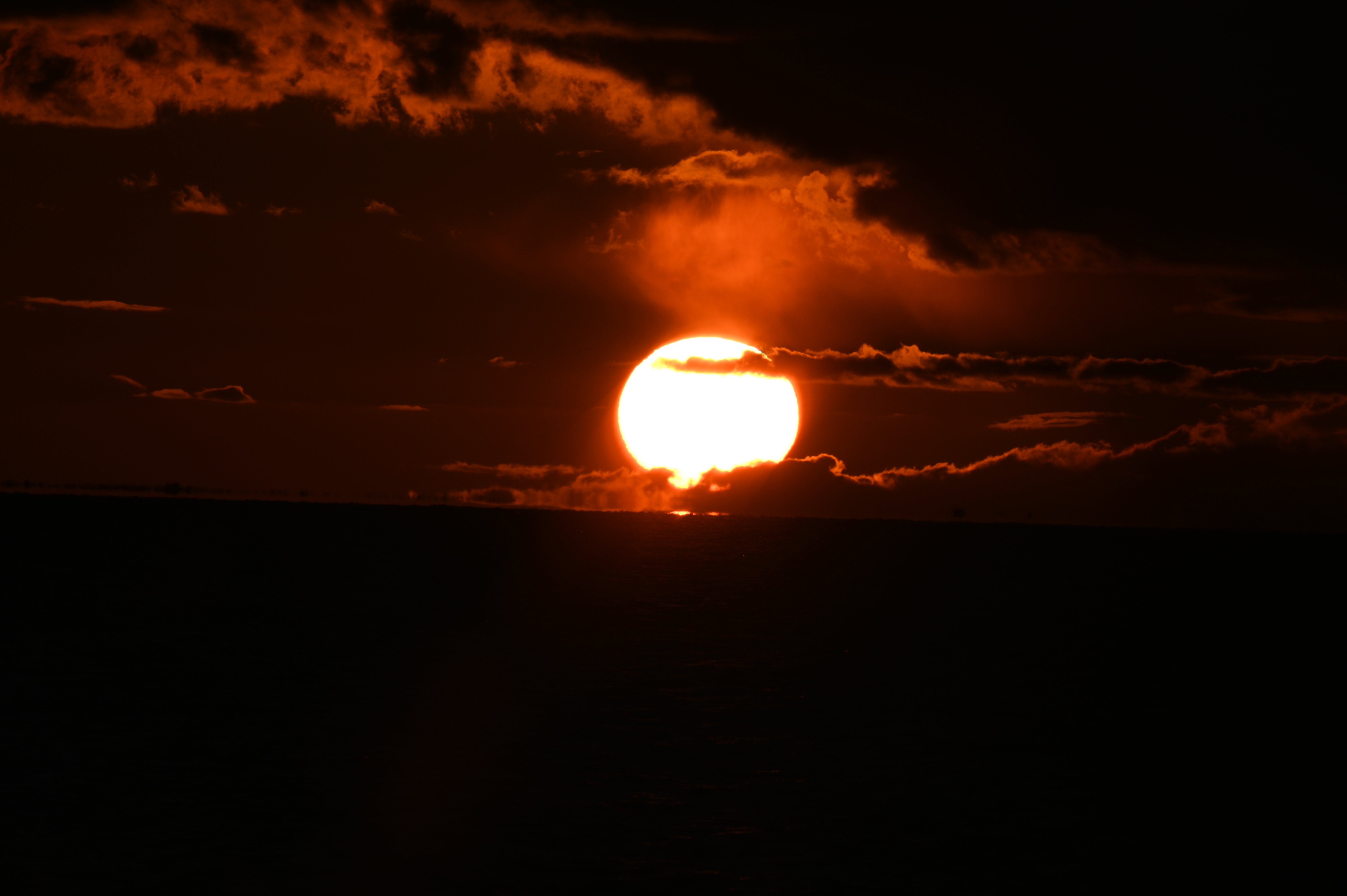 2025/10/18 - walk/DSC_0460.JPG